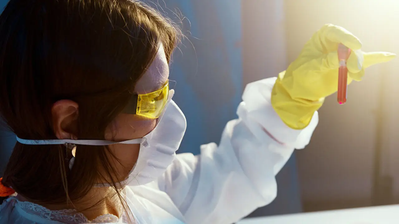  La Junta de Andaluc&iacute;a 