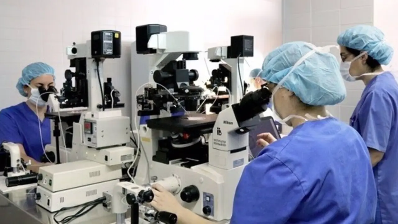  Profesionales trabajando en Instituto Bernabeu Biotech. - INSTITUTO BERNABEU 