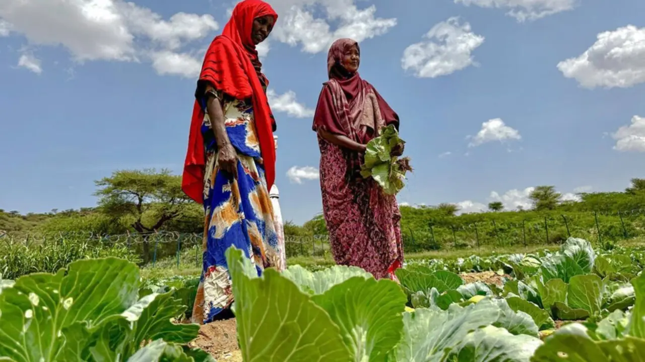  Nadira 43, Maryam 38 from Ceel Ganiiseed, Gabiley District Ceel Ganiiseed, Gabiley DistrictProject InformationIn response to the protracted humanitarian crisis, the Somali joint Response (SOMJR ) - AHMED OSMAN 