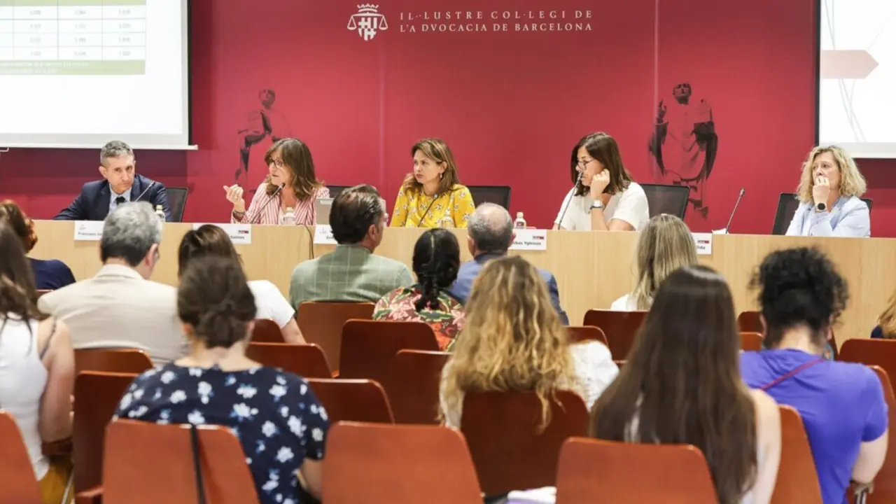  Jornada del Observatorio de los Derechos de las Personas para analizar la problem&aacute;tica de la Dgaia' celebrado este jueves en la sede del ICAB en Barcelona - ICAB 