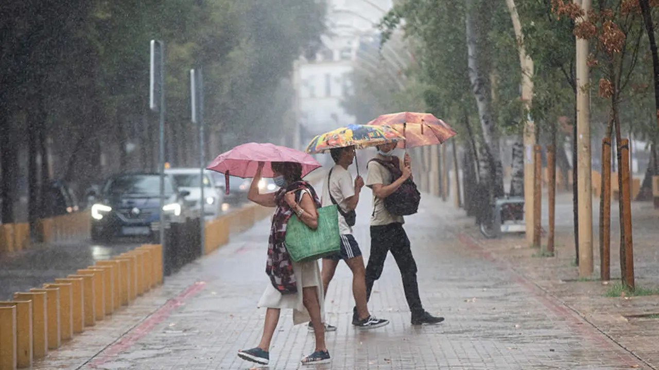  Varias personas caminan bajo sus paraguas durante una tormenta. A 14 de septiembre de 2021, en Sevilla (Andaluc&iacute;a, Espa&ntilde;a).<br>Mar&iacute;a Jos&eacute; L&oacute;pez / Europa Press<br>14/9/2021 
