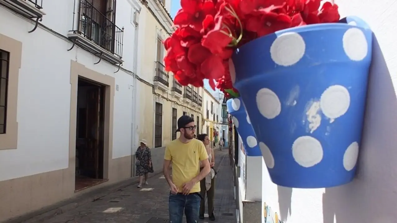 Flores de pl&aacute;stico para confundir al turista en el Casco Hist&oacute;rico 