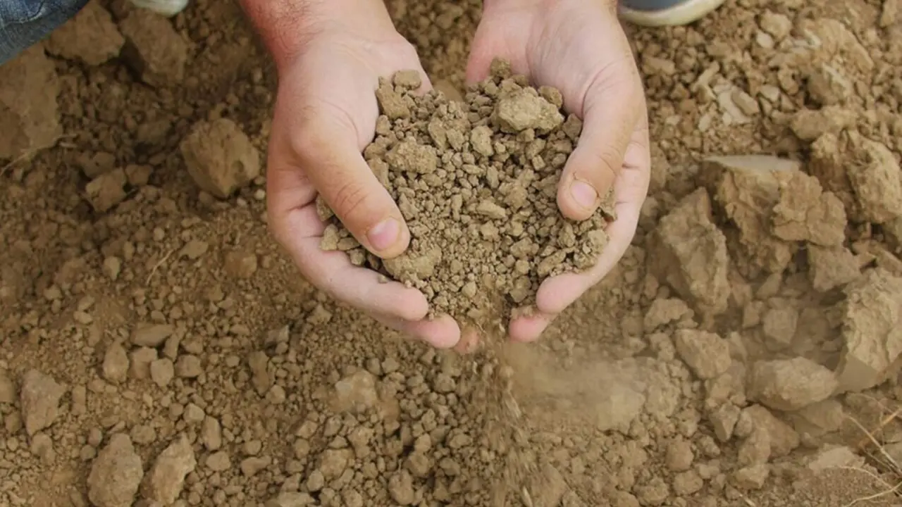  Un agricultor sostiene en sus manos terrones de tierra y arena tras un per&iacute;odo prolongado de sequ&iacute;a. 
