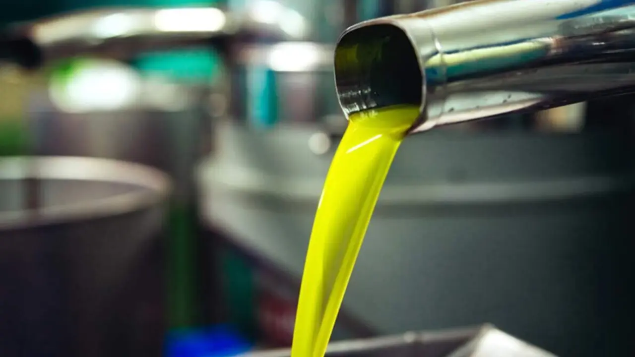  Producci&oacute;n de aceite virgen extra en una almazara andaluza | EP 