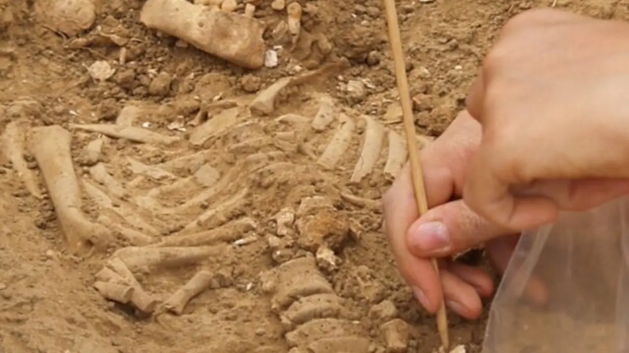  Excavaci&oacute;n de los restos &oacute;seos humanos en el cementerio de Marialba de la Ribera (Le&oacute;n).<br>- UNIVERSIDAD AUT&Oacute;NOMA DE MADRID 