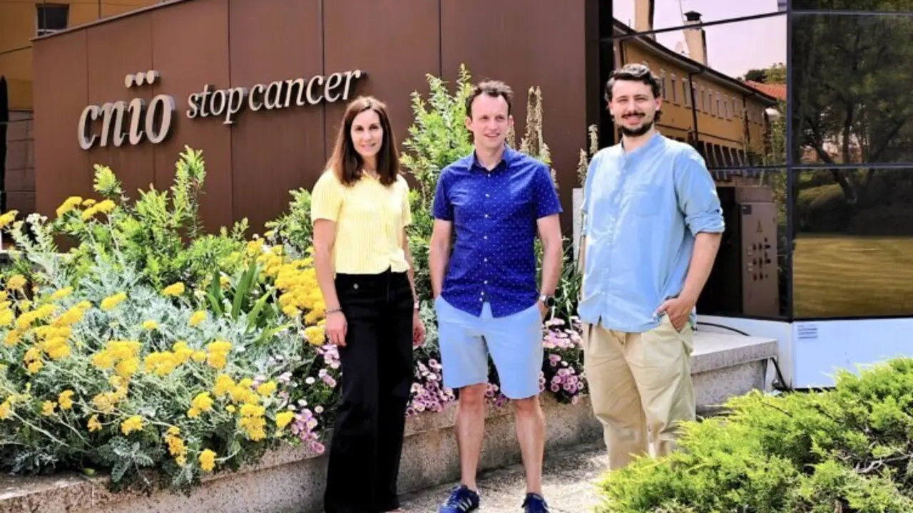  El CNIO descubre biomarcadores que predicen qu&eacute; pacientes no responder&aacute;n a la quimioterapia contra el c&aacute;ncer 