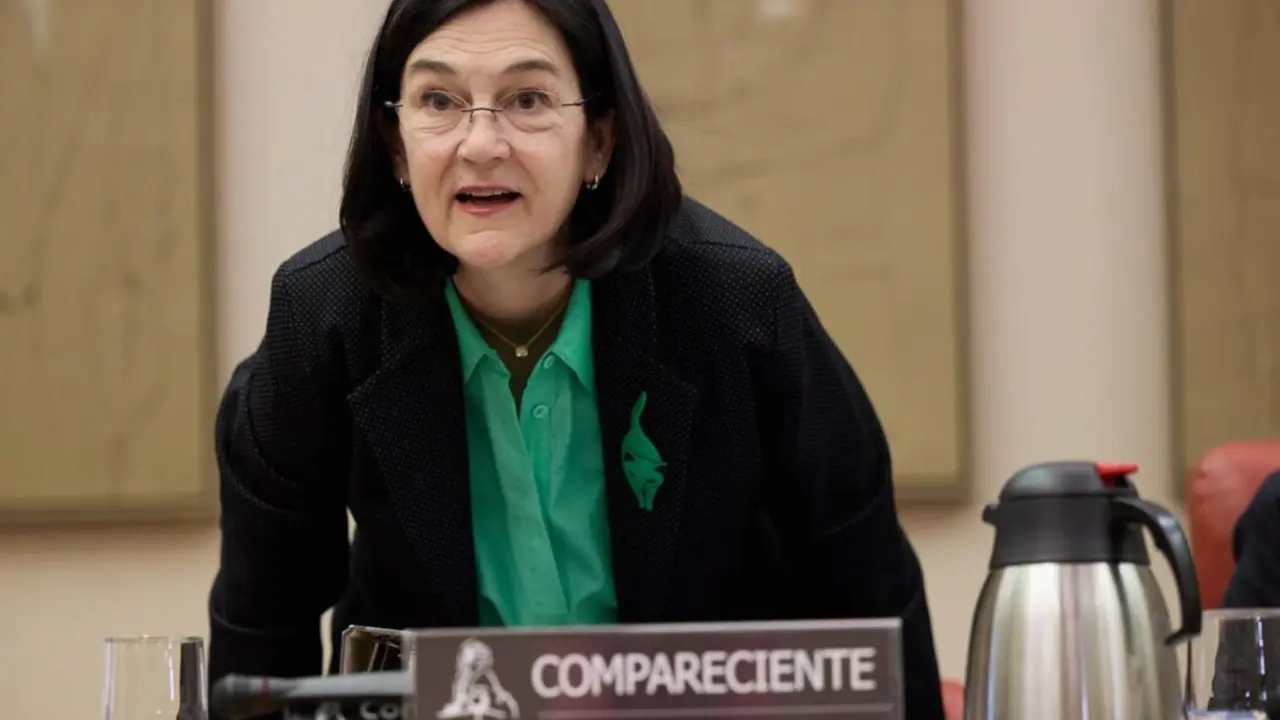  Archivo - La presidenta de la Comisi&oacute;n Nacional de los Mercados y Competencia (CNMC), Cani Fern&aacute;ndez<br>- Jes&uacute;s Hell&iacute;n - Europa Press - Archivo 