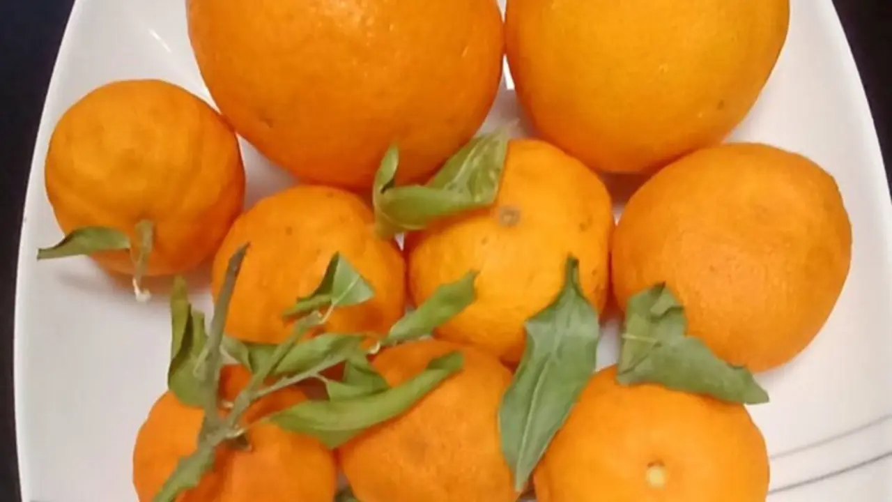  Archivo - Naranjas<br>- EUROPA PRESS - Archivo 