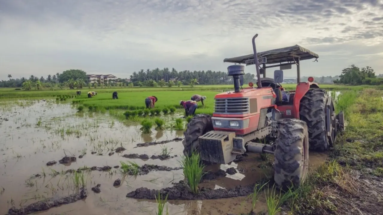  Archivo - Campos anegados en Andaluc&iacute;a.<br>- JUNTA DE ANDALUCIA - Archivo 