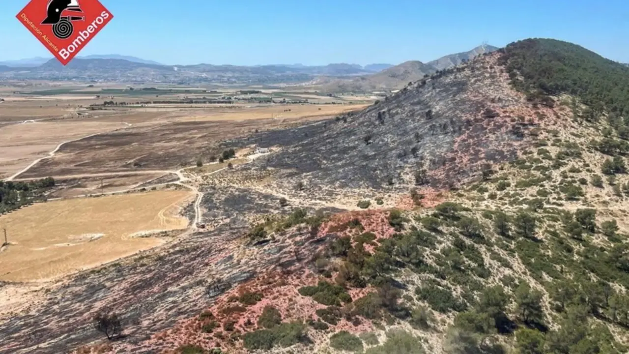  Incendio forestal en Villena<br>- CONSORCIO PROVINCIAL DE BOMBEROS | EP 