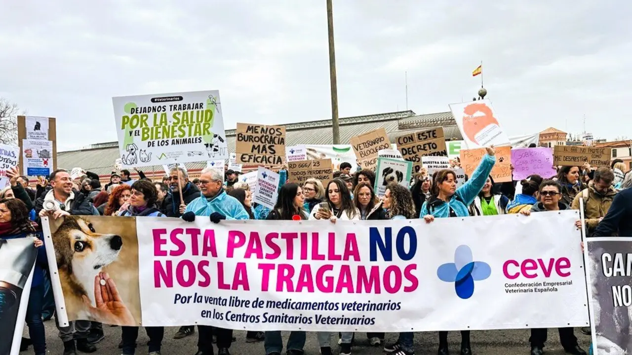  CEVE considera "insuficiente" la enmienda aprobada sobre el RD 666/2025 y reclama que los veterinarios puedan dispensar medicamentos 
