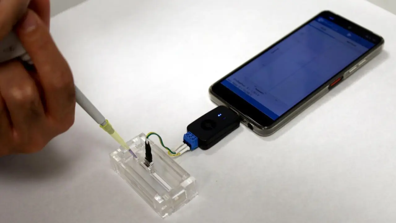  Imagen del nuevo test de diagn&oacute;stico.<br>- IMB-CNM-CSIC 