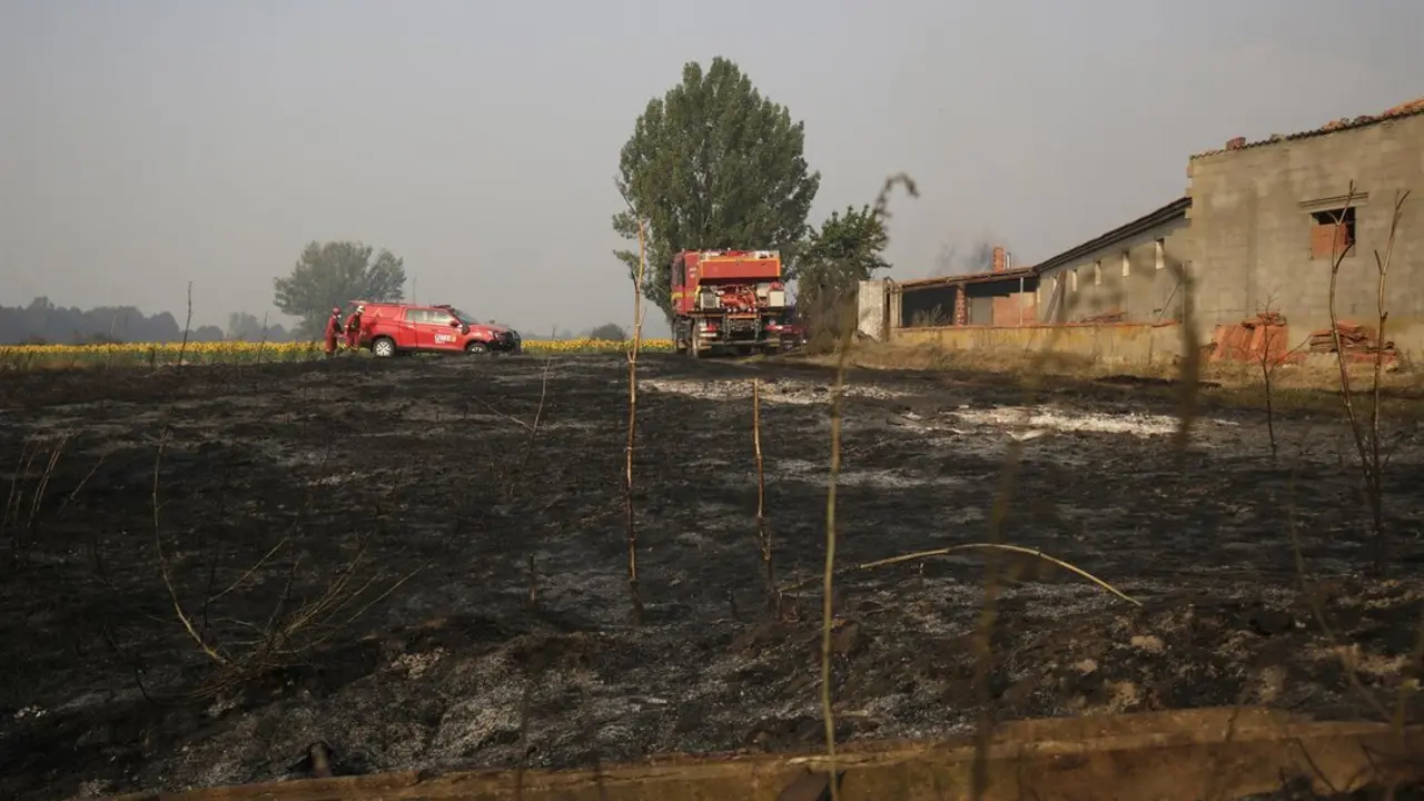  fotonoticia_20250815104506_1920 