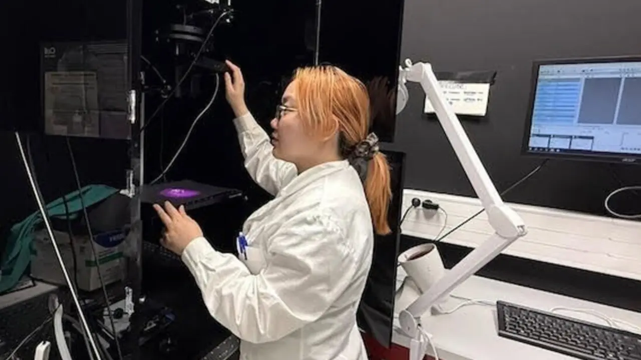  La estudiante Liyan Ming, primera autora del estudio, prepara una medici&oacute;n de fluorescencia<br>- UAM 