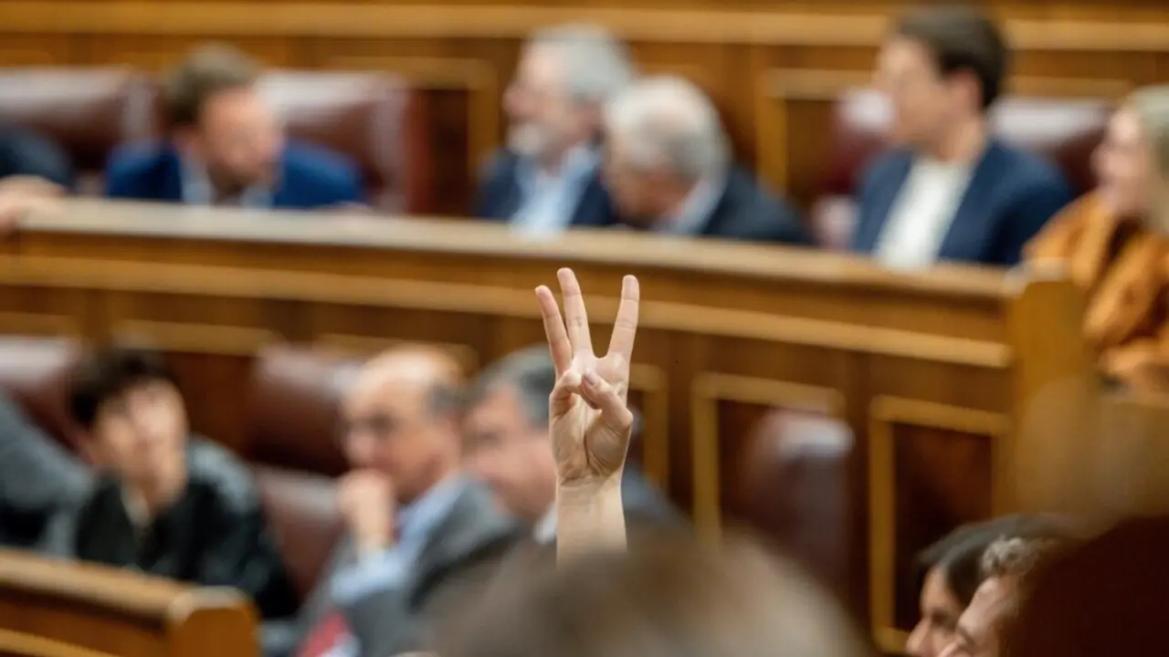  Archivo - Una persona indica la votaci&oacute;n a realizar por su partido durante una sesi&oacute;n plenaria<br>- Ricardo Rubio - Europa Press - Archivo 