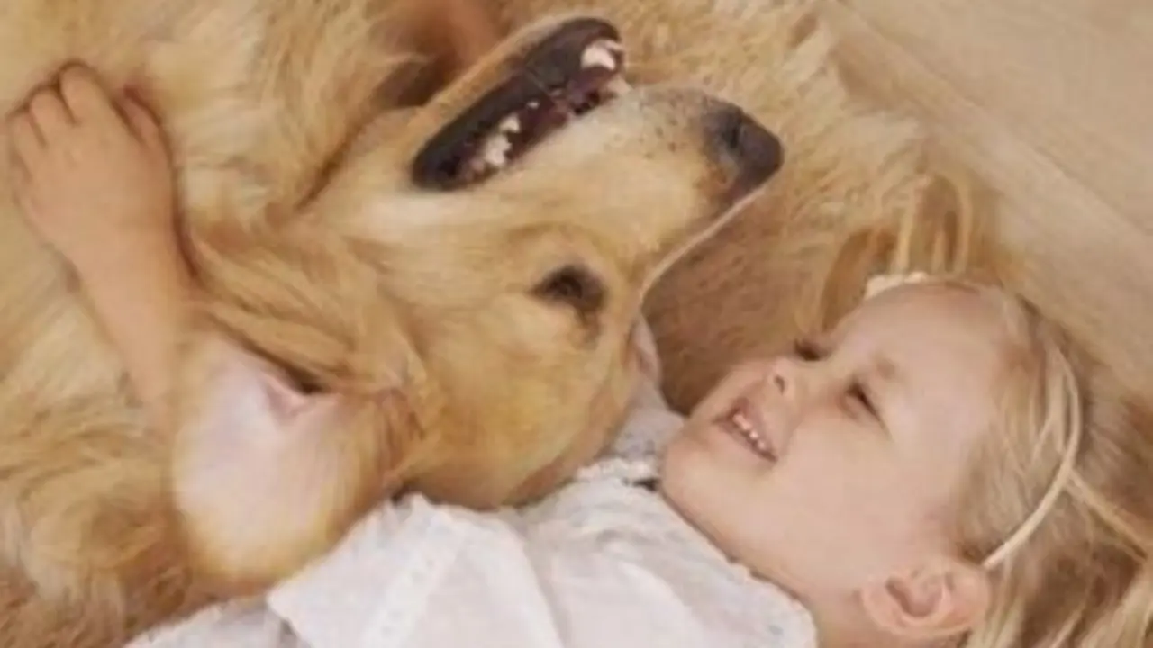  Perro y un ni&ntilde;o 