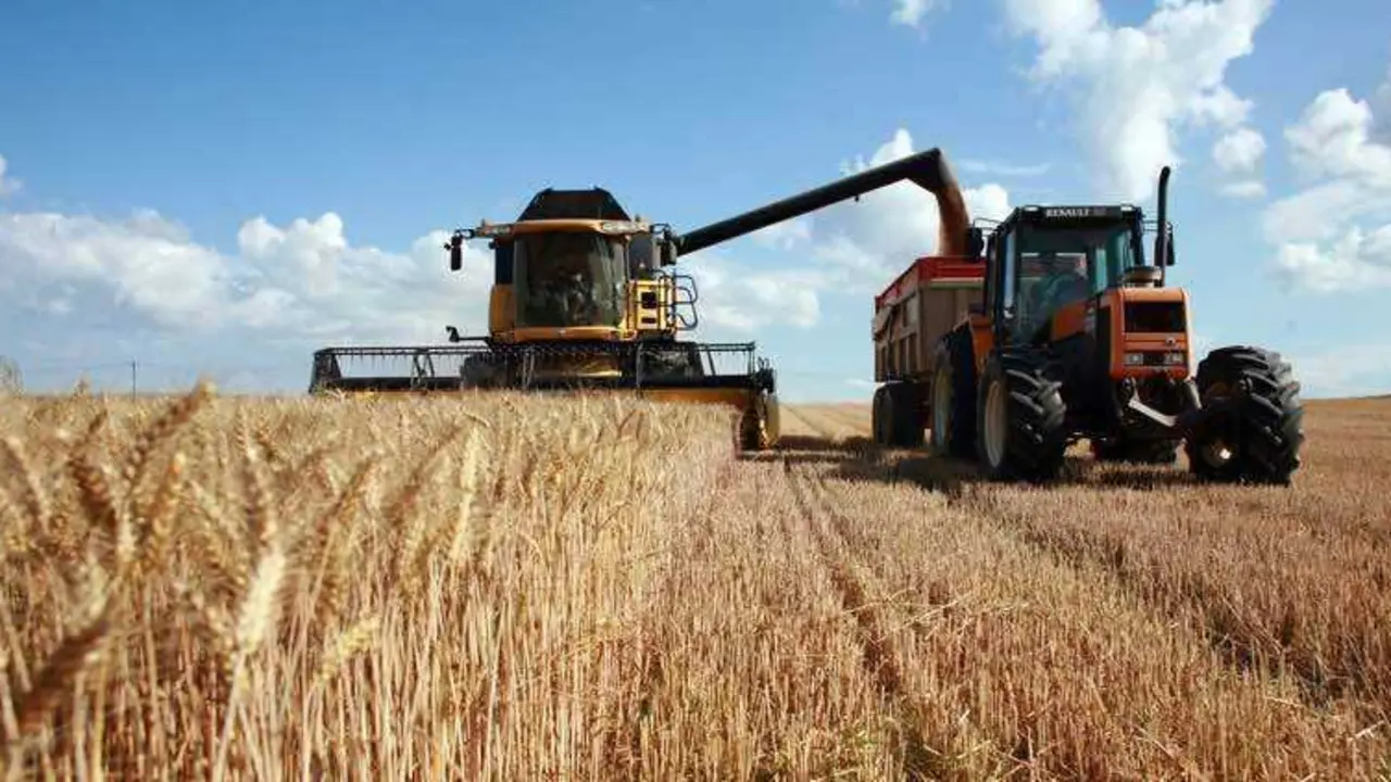  Recogida de cereales 