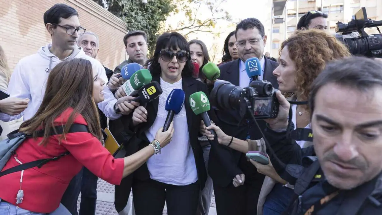  Juana Rivas declara este jueves por la presunta sustracci&oacute;n de su hijo menor ante el  Juzgado de Instrucci&oacute;n n&uacute;mero 4 de Granada.<br>- &Aacute;lex C&aacute;mara - Europa Press 