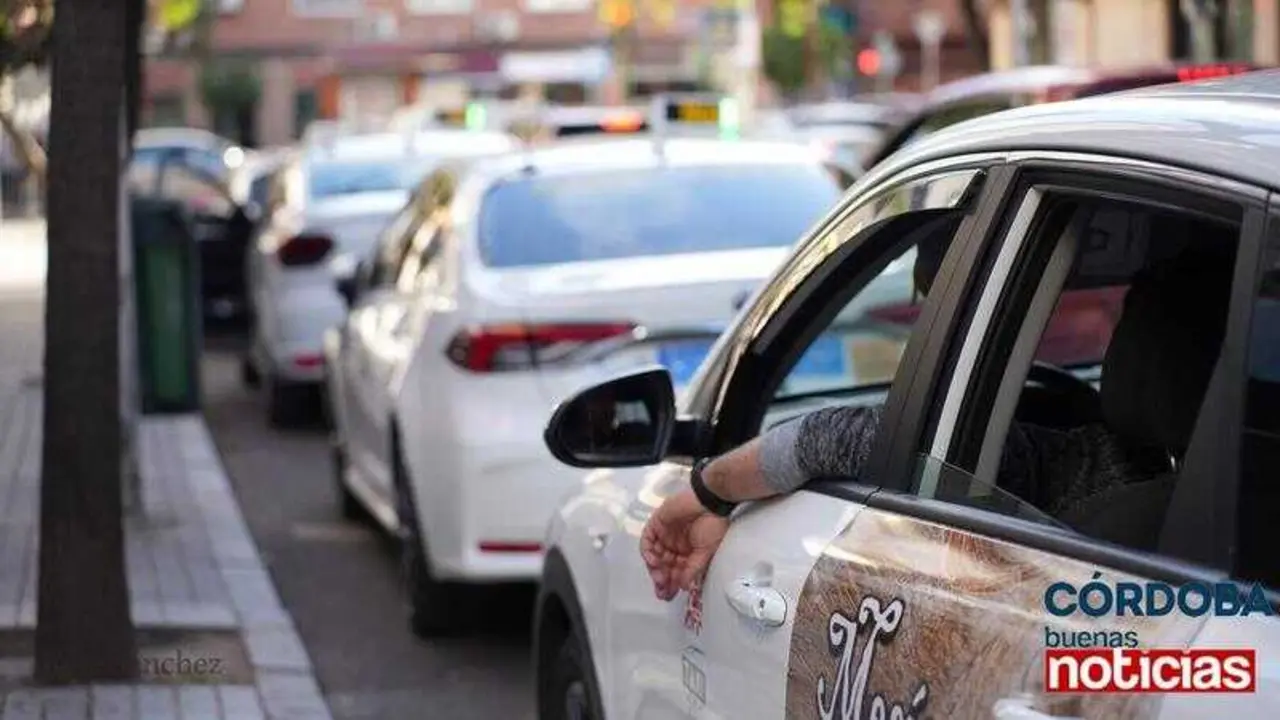  Taxis cordobeses. CBN 