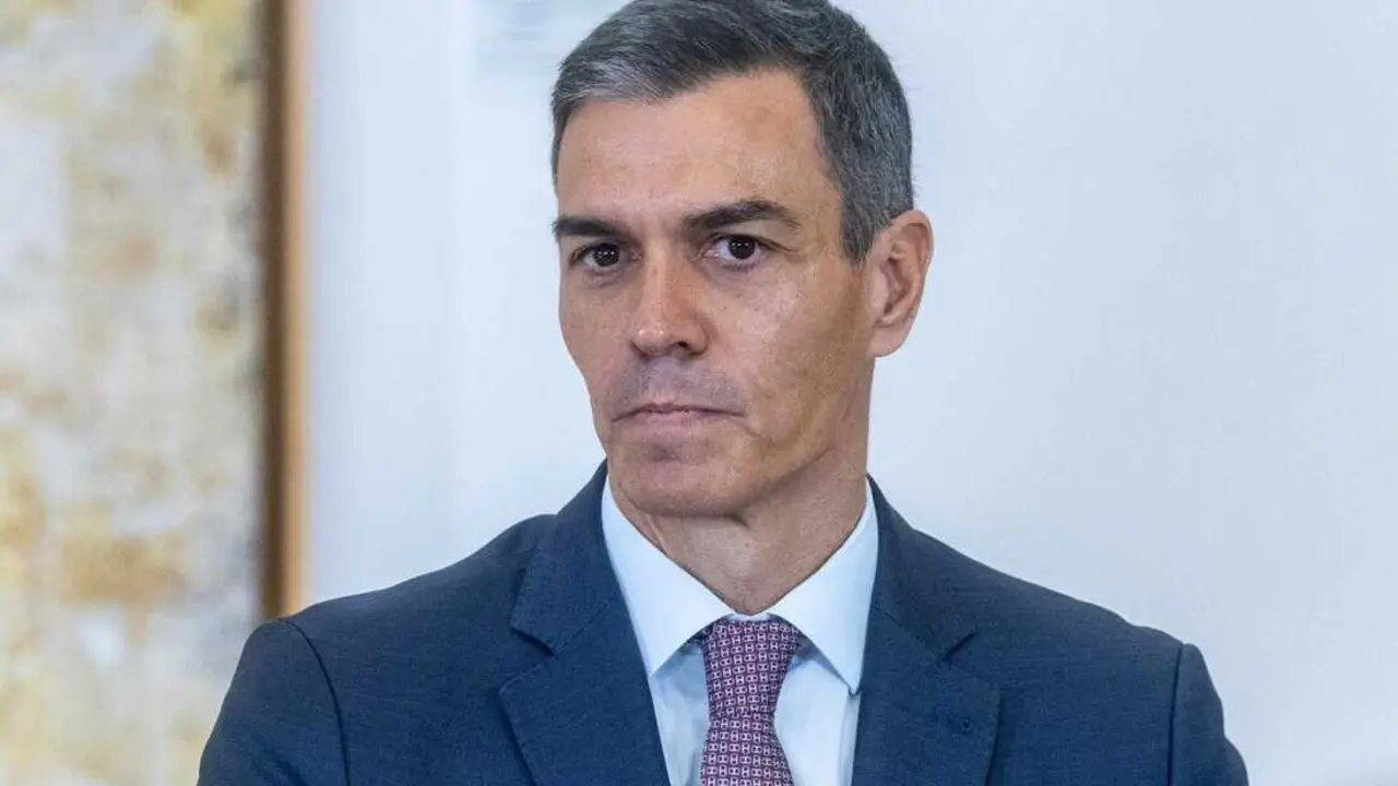  El presidente del Gobierno, Pedro S&aacute;nchez<br>- Ananda Manj&oacute;n - Europa Press 