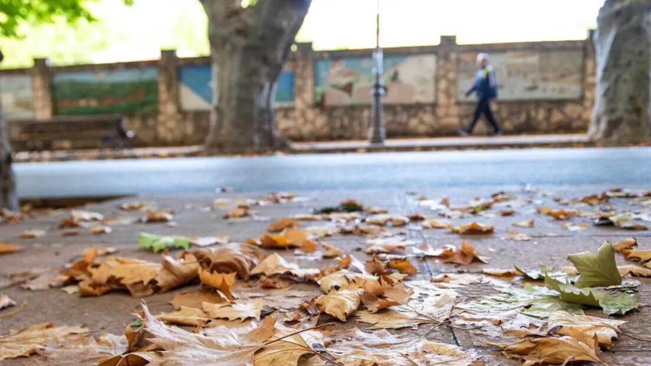  Archivo - Hojas secas en el comienzo del oto&ntilde;o 2023, en la Sierra del Segura, a 22 de septiembre de 2023, en Albacete, Castilla-La Mancha (Espa&ntilde;a).<br>- V&iacute;ctor Fern&aacute;ndez - Europa Press - Archivo 