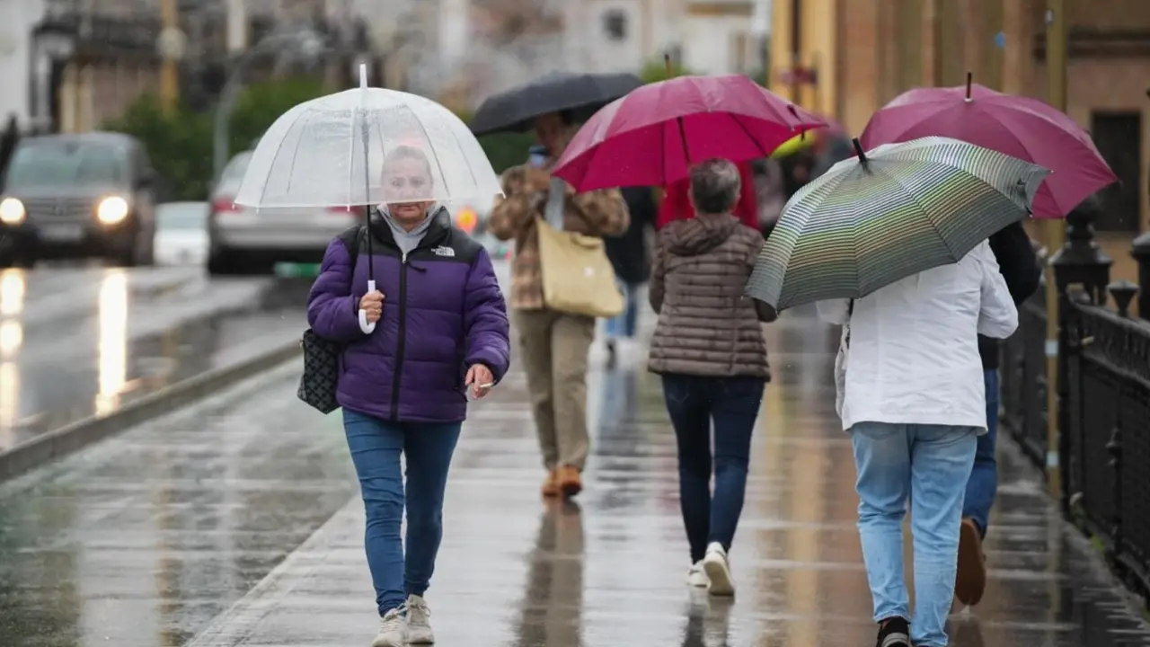 Sevillanos protegi&eacute;ndose de la lluvia y el viento, protagonistas de la jornada de hoy con avisos naranja y amarillo en gran parte de Andaluc&iacute;a. A 13 de noviembre de 2025, en Sevilla (Andaluc&iacute;a, Espa&ntilde;a). Andaluc&iacute;a vuelve a estar bajo la influencia de inten
- Mar&iacute;a Jos&eacute; L&oacute;pez - Europa Press