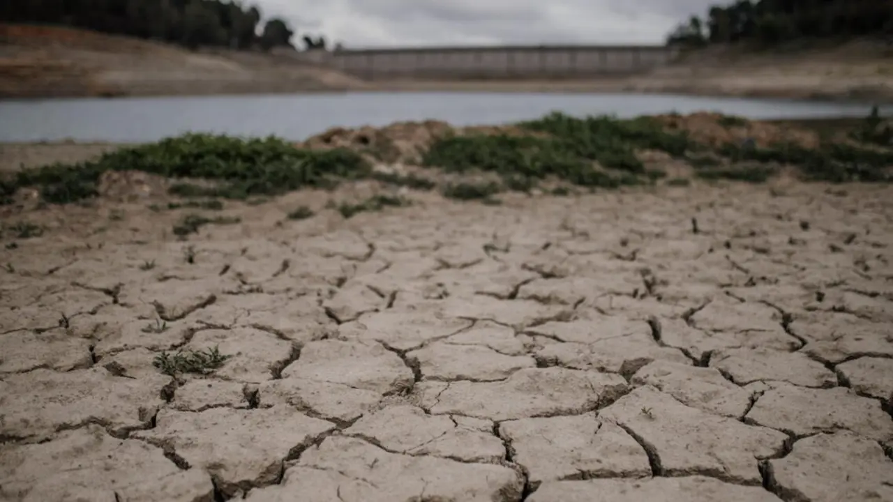 Archivo - Vista del pantano de Riudecanyes, a 4 de mayo de 2023, en Tarragona, Catalunya (Espa&ntilde;a).
- Laia Solanellas - Europa Press - ArchivoArchivo - Vista del pantano de Riudecanyes, a 4 de mayo de 2023, en Tarragona, Catalunya (Espa&ntilde;a).
- Laia Solanellas - Europa Press - Archivo