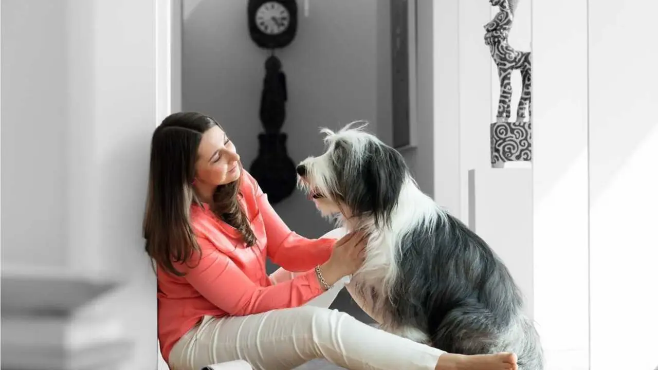 
<p>   MADRID, 6 (EUROPA PRESS)</p>
<p>   Un nuevo estudio ha revelado que los perros provocan cambios en la colecci&oacute;n de microbios que viven dentro y fuera de nuestro cuerpo, lo que da como resultado una mejora de la salud mental, seg&uacute;n publican sus autores en la revista 'iScience'.</p>
<p>   "La crianza de perros tiene efectos beneficiosos, especialmente para los adolescentes, y estos efectos pueden estar mediados por la simbiosis con microorganismos", afirma el autor Takefumi Kikusui de la Universidad de Azabu, en Jap&oacute;n.</p>
<p>   En trabajos anteriores, el equipo de Kikusui descubri&oacute; que los j&oacute;venes que crecen con un perro desde peque&ntilde;os y contin&uacute;an teni&eacute;ndolos m&aacute;s adelante en la vida obtienen mejores resultados en las medidas de compa&ntilde;&iacute;a y apoyo social. Otros estudios tambi&eacute;n han demostrado que los due&ntilde;os de perros tambi&eacute;n presentan diferencias en sus microbiomas intestinales, incluyendo una mayor diversidad microbiana.</p>
<p>   En este estudio, los investigadores se propusieron explorar si algunos de los efectos beneficiosos de los perros en la salud mental de los adolescentes podr&iacute;an estar relacionados con estas diferencias en el microbioma.</p>
<p>   "Los adolescentes que tienen perros muestran un mayor bienestar mental, y tambi&eacute;n descubrimos que tener un perro altera la microbiota intestinal --afirma Kikusui--. Dado que la microbiota intestinal influye en el comportamiento a trav&eacute;s del eje intestino-cerebro, realizamos este experimento".</p>
<p>   Los investigadores descubrieron que tener un perro a los 13 a&ntilde;os predec&iacute;a su salud mental y sus puntuaciones de comportamiento. Los problemas sociales fueron significativamente menores en los adolescentes con perro en casa que en los que no lo ten&iacute;an.</p>
<p>   A continuaci&oacute;n, analizaron muestras del microbioma bucal. Tras secuenciar los microbios, los investigadores encontraron una diversidad y riqueza de especies similar entre los dos grupos de adolescentes.</p>
<p>    Sin embargo, la composici&oacute;n del microbioma mostr&oacute; diferencias, lo que sugiere que tener un perro alter&oacute; la abundancia de bacterias bucales espec&iacute;ficas. Plantearon la hip&oacute;tesis de que algunas de estas bacterias podr&iacute;an correlacionarse con las puntuaciones psicol&oacute;gicas de los adolescentes.</p>
<p>   Para comprobar esta idea, los investigadores trataron ratones de laboratorio con microbiota de adolescentes due&ntilde;os de perros para observar si esta afectaba su comportamiento social y c&oacute;mo lo hac&iacute;a.</p>
<p>    Los ratones con el microbioma de los due&ntilde;os de perros dedicaron m&aacute;s tiempo a olfatear a sus compa&ntilde;eros de jaula. Tambi&eacute;n mostraron una actitud m&aacute;s social hacia un compa&ntilde;ero de jaula atrapado, una prueba de comportamiento que se utiliza habitualmente para evaluar el comportamiento prosocial en ratones.</p>
<p>   "El hallazgo m&aacute;s interesante de este estudio es que se descubrieron bacterias que promueven la prosocialidad, o empat&iacute;a, en los microbiomas de adolescentes que tienen perros --resalta Kikusui--. Esto implica que tener un perro proporciona una sensaci&oacute;n de seguridad a trav&eacute;s de la interacci&oacute;n, pero creo que tambi&eacute;n tiene valor por su potencial para alterar la comunidad microbiana simbi&oacute;tica".</p>
<p>   Los investigadores afirman que, si bien se necesita m&aacute;s investigaci&oacute;n, los resultados sugieren que un perro de familia puede modificar el microbioma de maneras que favorecen la salud mental, la empat&iacute;a y el comportamiento prosocial. Los beneficios de vivir con perros probablemente sean el resultado de decenas de miles de a&ntilde;os de coexistencia entre humanos y perros, afirman.</p>
      