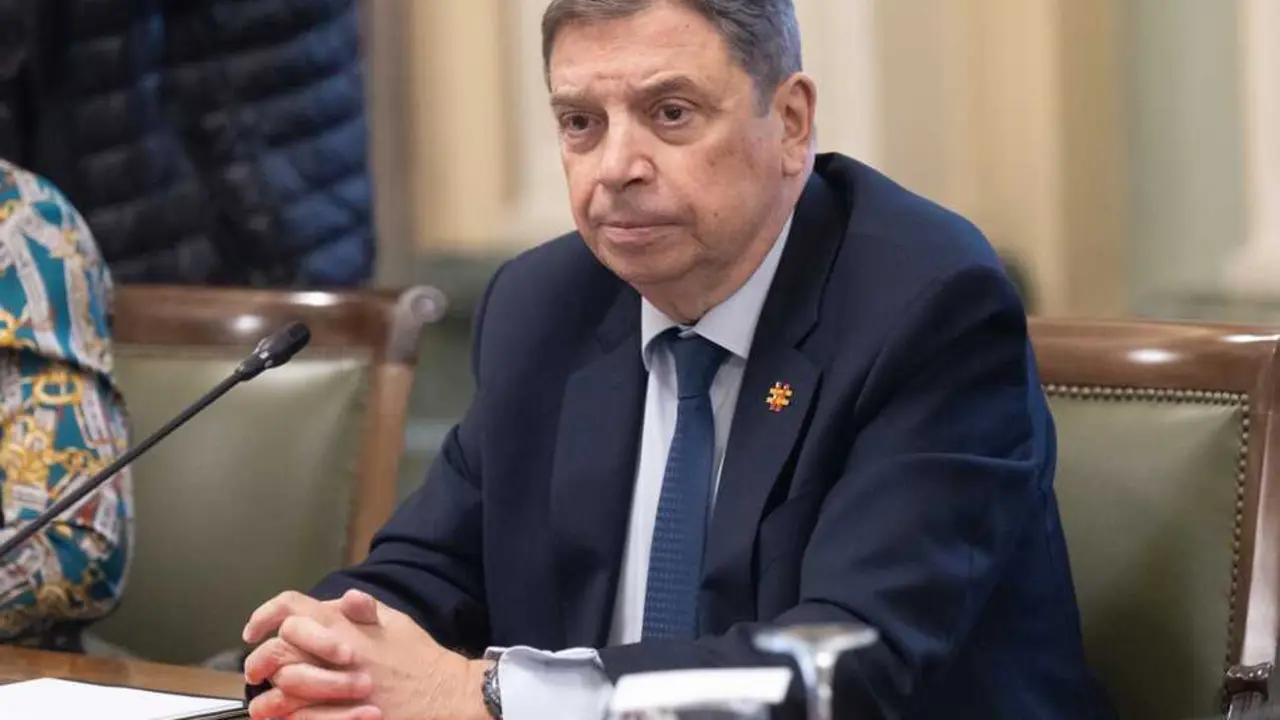 
<p>    MADRID, 10 (EUROPA PRESS)</p>
<p>    El ministro de Agricultura, Pesca y Alimentaci&oacute;n, Luis Planas, ha agradecido este mi&eacute;rcoles a la caza deportiva el papel que est&aacute; jugando en la crisis de la peste porcina africana, pero ha aclarado que esta no acabar&aacute; con la "sobrepoblaci&oacute;n" de jabal&iacute;s.</p>
<p>   Planas ha dejado este apunte en el marco de una interpelaci&oacute;n urgente que el portavoz de Agricultura de Vox en el Congreso, Ricardo Chamorro, ha dirigido al ministro por la crisis de la peste porcina, al considerar que se trata de un problema "nacional" que llega despu&eacute;s de a&ntilde;os en los que la Uni&oacute;n Europea ha debilitado al campo "ahogando" a agricultores y ganaderos a base de "burocracia" y "normas ideol&oacute;gicas".</p>
<p>   Chamorro ha apuntado que "sin cazadores no se controla la peste porcina africana" porque son quienes est&aacute;n sobre el terreno, por eso ha preguntado a Planas si el Gobierno va a reconocer de una vez al sector cineg&eacute;tico como autoridad auxiliar en el control sanitario del jabal&iacute;.</p>
<p>    Planas ha respondido que se encuentra reunido el Comit&eacute; de Caza, presidido por la Direcci&oacute;n General de Producciones y Mercados, y ha apuntado que cada comunidad aut&oacute;noma es responsable de los temas relativos al control de la fauna silvestre, tambi&eacute;n de jabal&iacute;s.</p>
<p>    A rengl&oacute;n seguido, el ministro ha agradecido la colaboraci&oacute;n del sector de la caza deportiva, pero ha aclarado que esta "no acaba con la sobrepoblaci&oacute;n". "Son necesarias medidas selectivas, que son evidentemente necesarias en la planificaci&oacute;n de cada comunidad aut&oacute;noma y desde las cuales el ministerio y el Gobierno va a prestar apoyo", ha argumentado.</p>
<p>    Planas ha vuelto a hacer un llamamiento a todos los grupos parlamentarios del Congreso para hacer una "exhibici&oacute;n de responsabilidad" ante un hecho que afecta a todos por igual. Asimismo, ha defendido la transparencia del Gobierno con este brote</p>
<p>    </p>
      