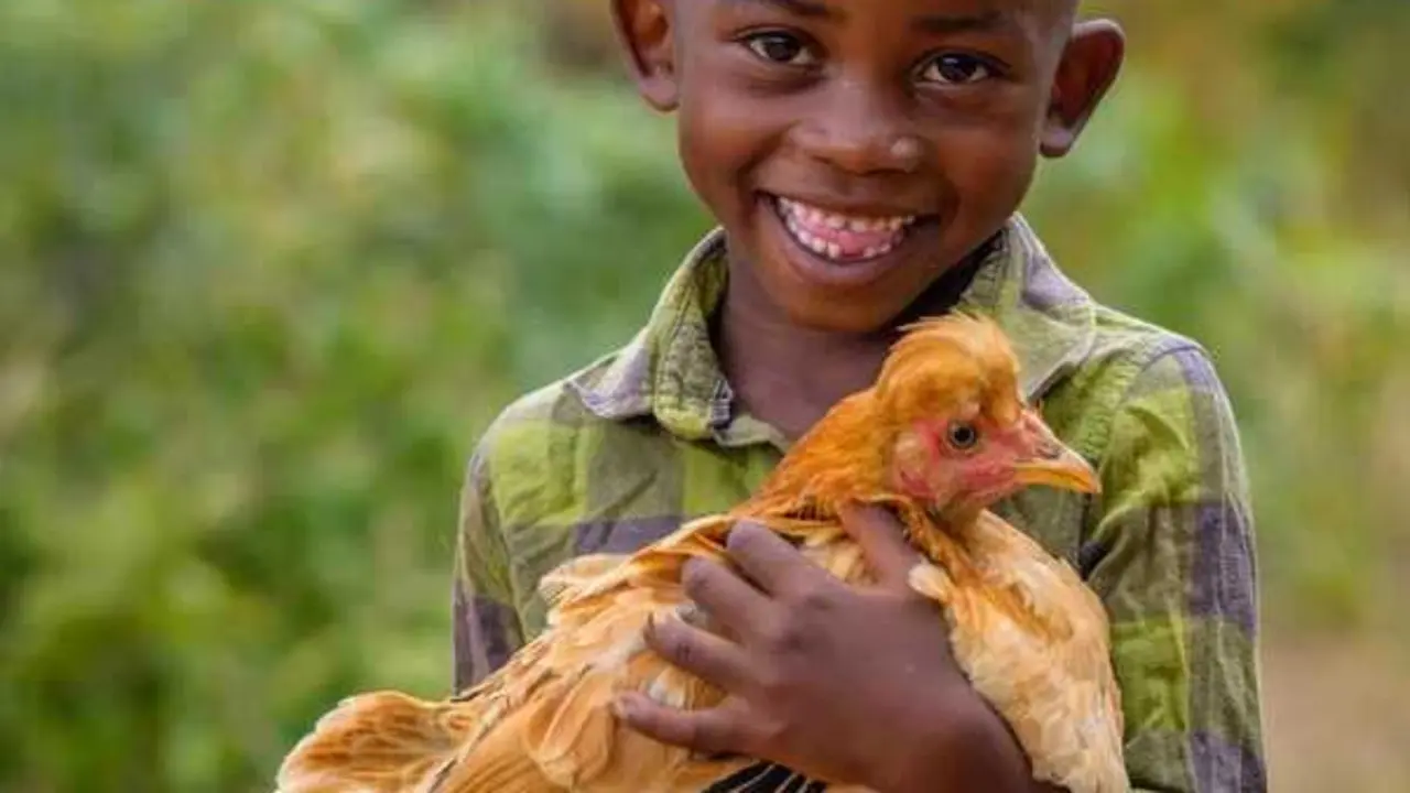 ONG proponen regalos solidarios para Navidad