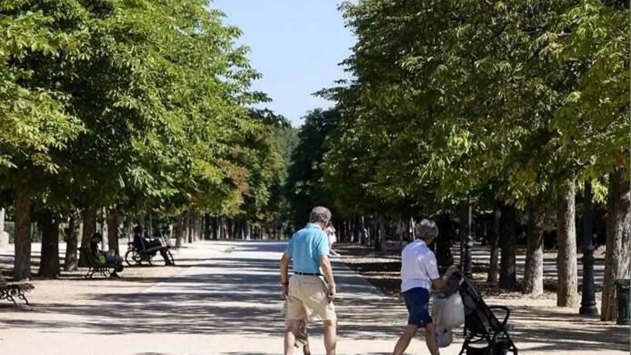 Archivo - Unos abuelos paseando a su nieto.