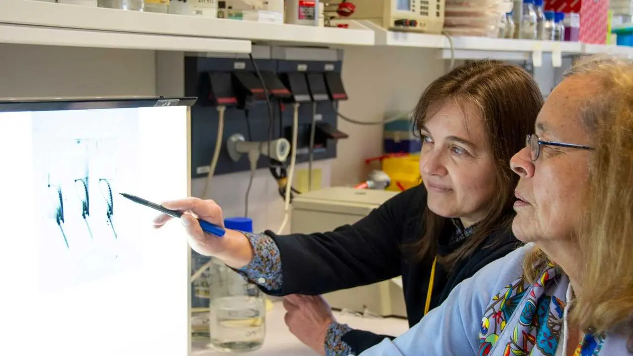 Imagen de las autoras de la investigaci&oacute;n.