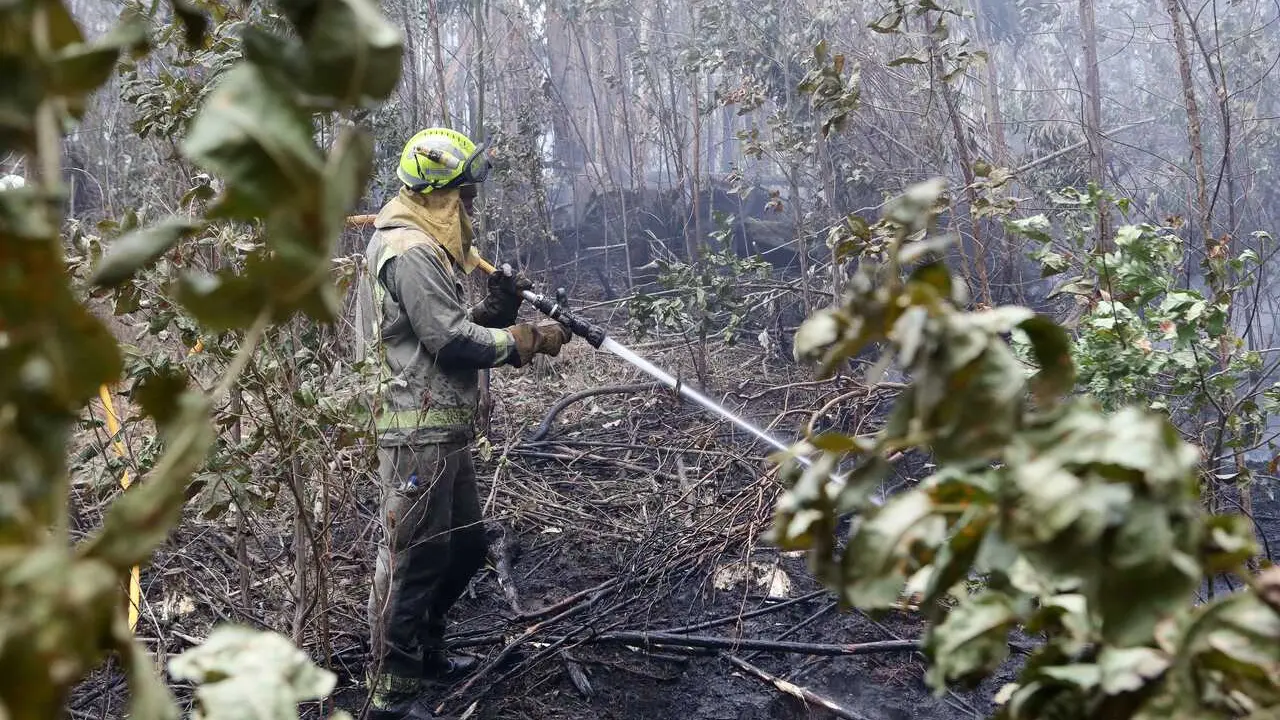 Riocobo, Cervo, Lugo. Un incendio declarado en la noche del martes junto a la urbanizaci&oacute;n Riocobo ha obligado al desalojo de m&aacute;s de 40 personas por la cercan&iacute;a de las llamas a las viviendas. El incendio se ha declarado en una zona de eucaliptal sin que se conozcan por el momento las causas del mismo.