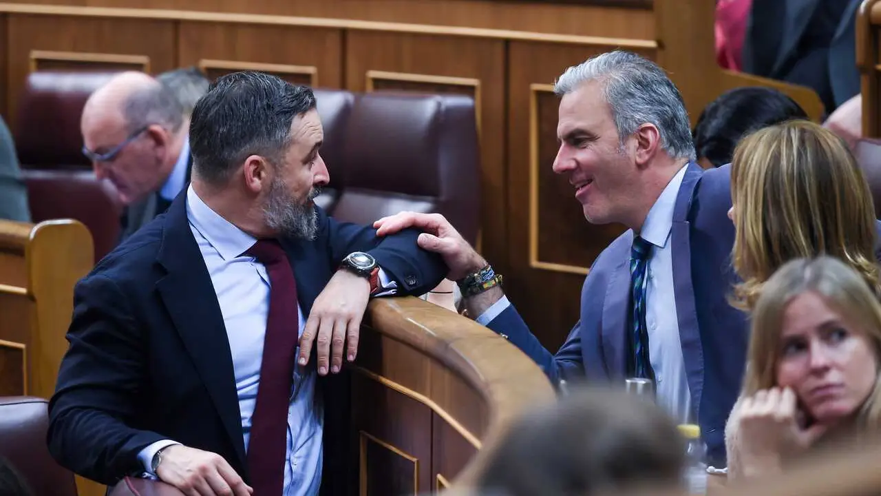 Archivo - El l&iacute;der de VOX, Santiago Abascal (i) y el portavoz del Grupo Municipal VOX, Javier Ortega Smith (d), conversan durante un pleno en el Congreso de los Diputados, a 29 de octubre de 2024, en Madrid (Espa&ntilde;a).