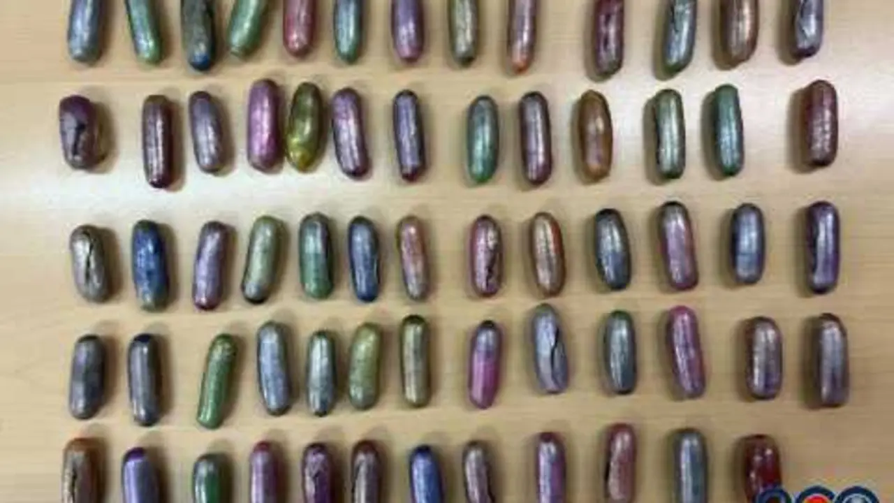 'Bellotas' De Hach&iacute;s.