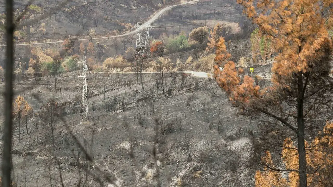 Quiroga, Lugo y A R&uacute;a, Ourense. Efectos del devastador incendio forestal que calcin&oacute; m&aacute;s de 30.000 has y que se convirti&oacute; en el mayor en cuanto a superficie quemada en la historia reciente de Galicia. En la imagen, paisaje ardido en Ferrer&iacute;a, Quiroga, en la ma&ntilde;ana del jueves 11 de septiembre