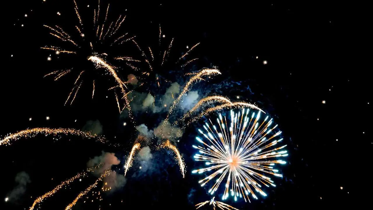 PACMA reclama una normativa estatal contra la pirotecnia ruidosa que afecta a animales tras una Nochevieja 'ca&oacute;tica'.