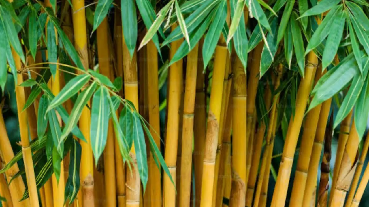 Alarma en Usera tras apu&ntilde;alamiento grave a una mujer de 50 a&ntilde;os