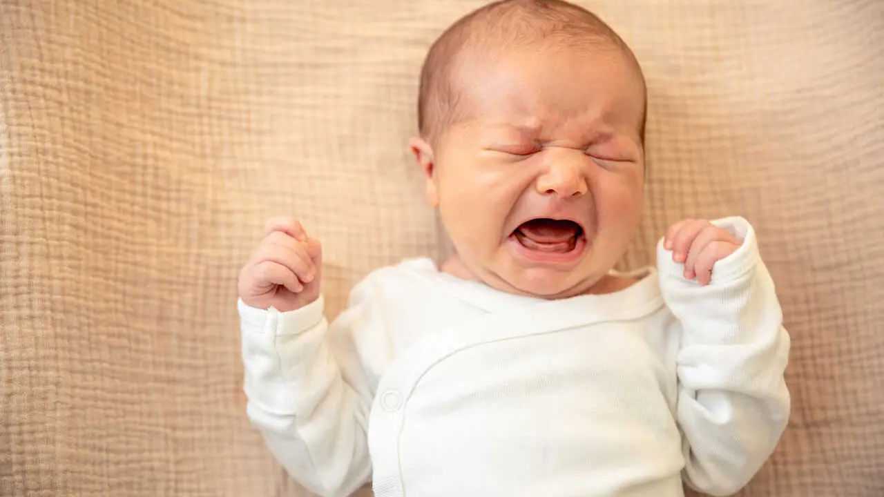 Imagen de pvproductions en Freepik