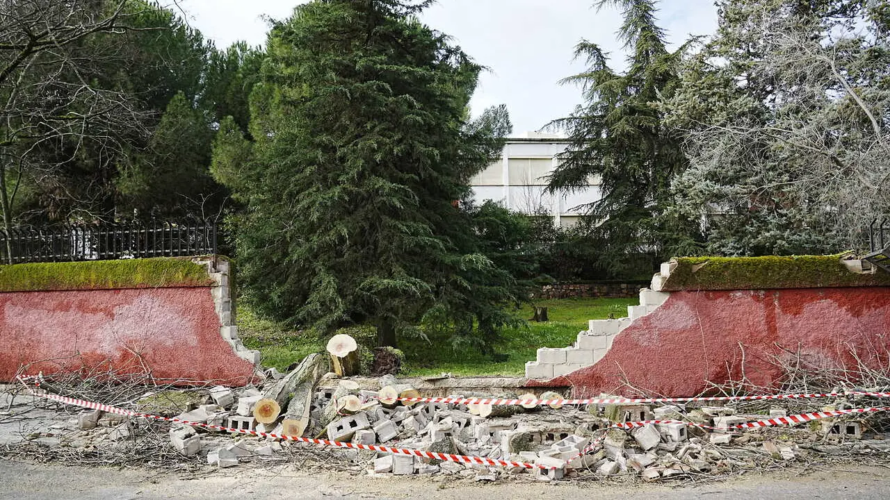 Un &aacute;rbol ca&iacute;do como consecuencia del viento derrumba un muro, a 28 de enero de 2026, en C&aacute;ceres, Extremadura (Espa&ntilde;a). 
