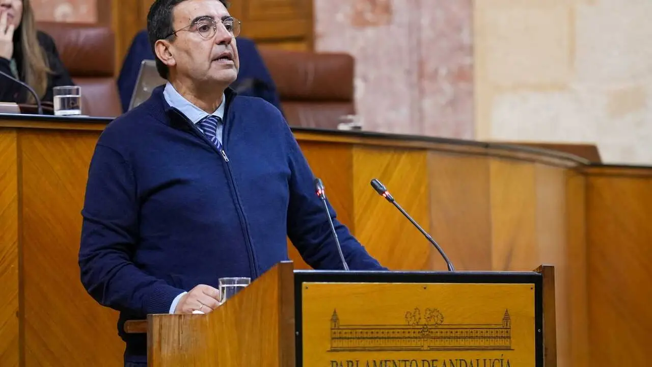 El diputado del PSOE-A Mario Jim&eacute;nez interviene en el Pleno del Parlamento andaluz.
