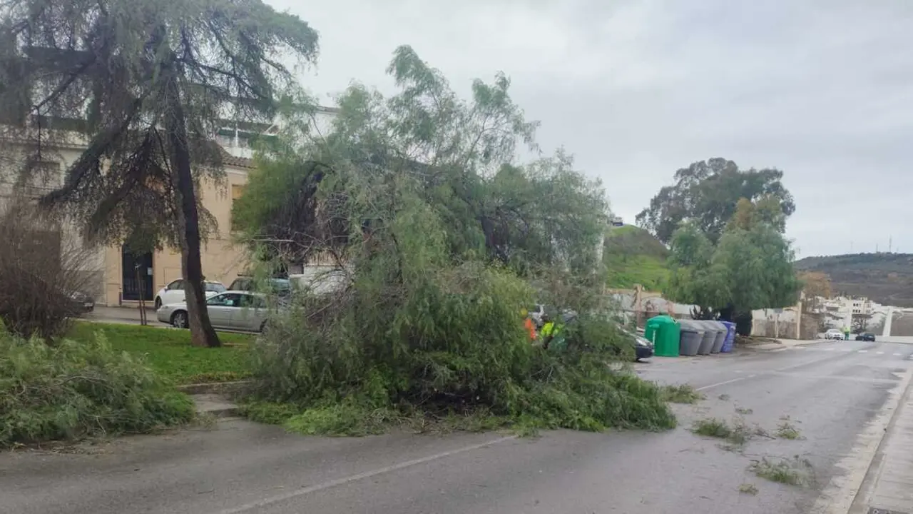Trabajos borrasca Kristin en Puente Genil