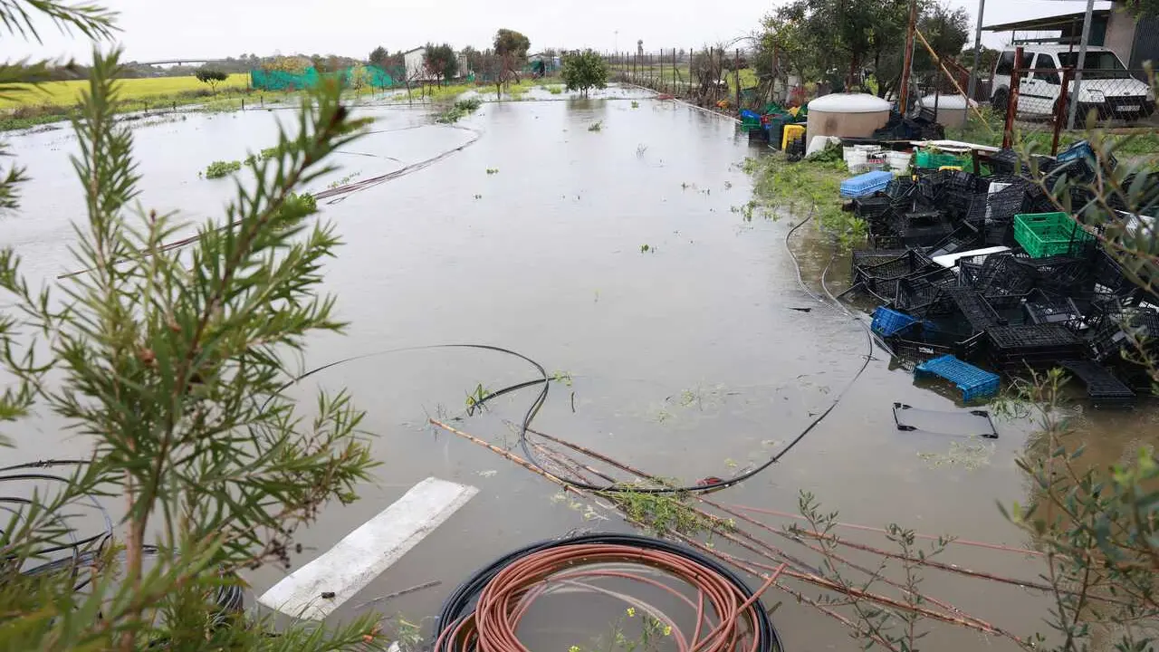Explotaciones agr&iacute;colas inundadas tras el desbordamiento del r&iacute;o Guadalete a su paso por la localidad gaditana de Jerez de la Frontera. A 4 de febrero de 2026, en Jerez de la Frontera, C&aacute;diz (Andaluc&iacute;a, Espa&ntilde;a). La Agencia Estatal de Meteorolog&iacute;a (Aemet) 