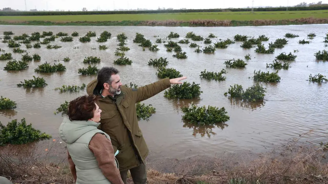 El consejero de Agricultura, Pesca, Agua y Desarrollo Rural, Ram&oacute;n Fern&aacute;ndez-Pacheco, durante su visita a Cantillana.