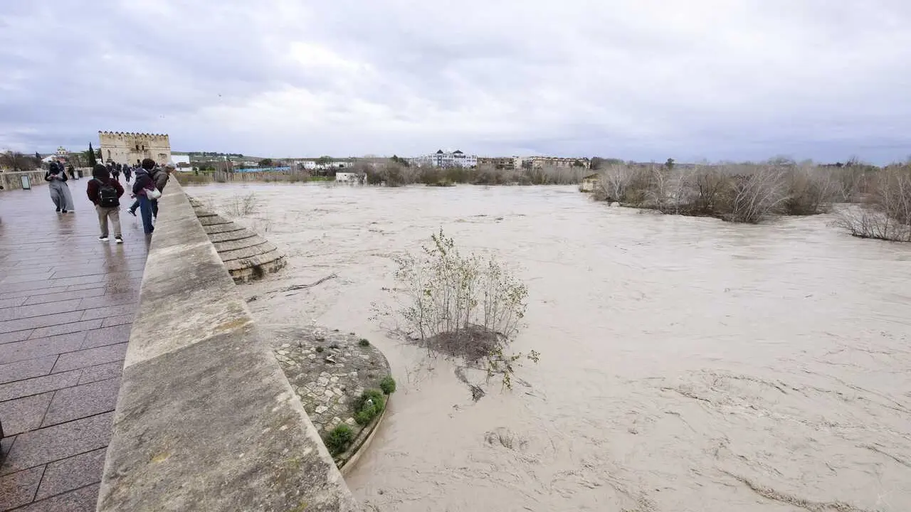 El r&iacute;o Guadalquivir supera, a su paso por C&oacute;rdoba capital, los cinco metros de crecida de su caudal desbordando sus m&aacute;rgenes. A 6 de febrero de 2026 en C&oacute;rdoba (Andaluc&iacute;a, Espa&ntilde;a).