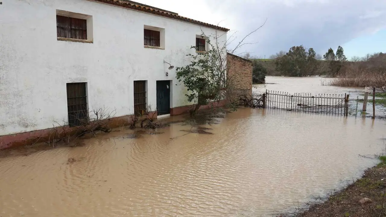 Crecida del r&iacute;o Guadalquivir a su paso por el pueblo sevillano de Lora del R&iacute;o. 