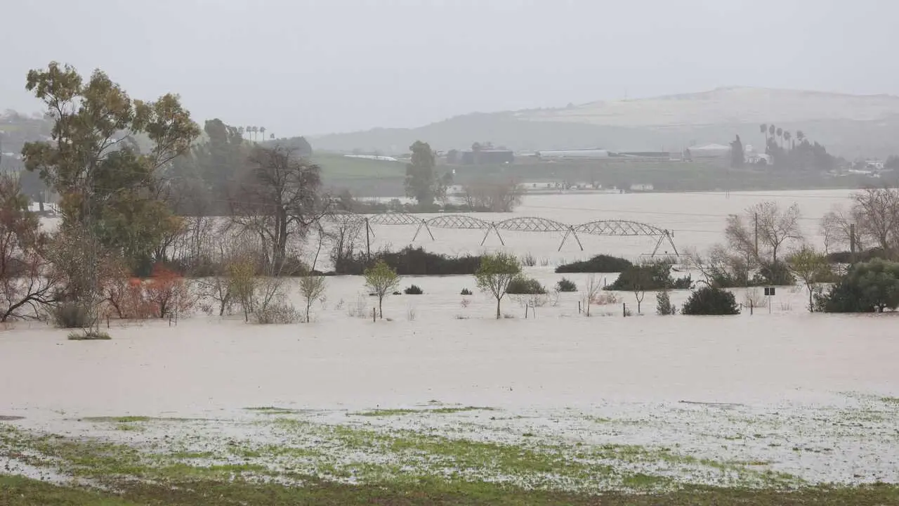 Imagen de la vega del Guadalete inundada tras el desbordamiento del r&iacute;o a su paso por la localidad gaditana de Jerez de la Frontera. A 4 de febrero de 2026, en Jerez de la Frontera, C&aacute;diz (Andaluc&iacute;a, Espa&ntilde;a).