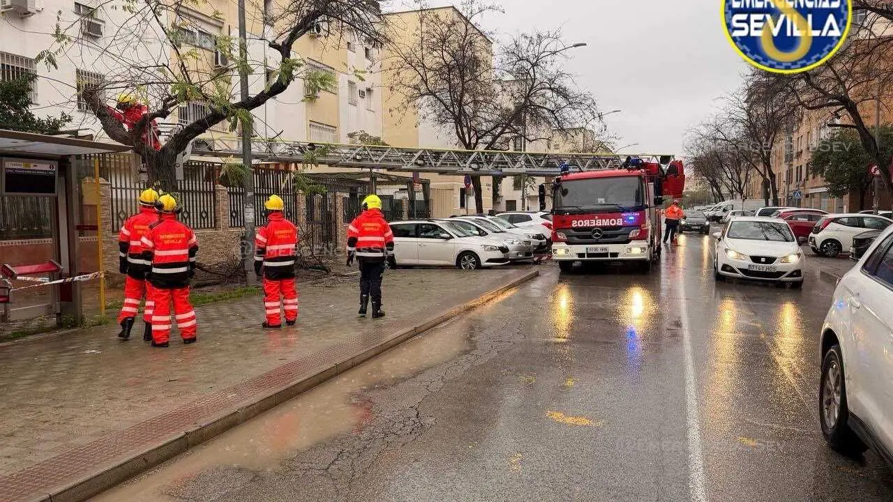 Bomberos act&uacute;an tras el aviso por una incidencia relacionada con el temporal.