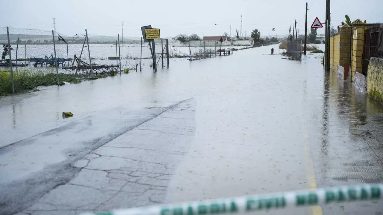 Imagen del desbordamiento del arroyo del Salado en El Palmar de Troya.