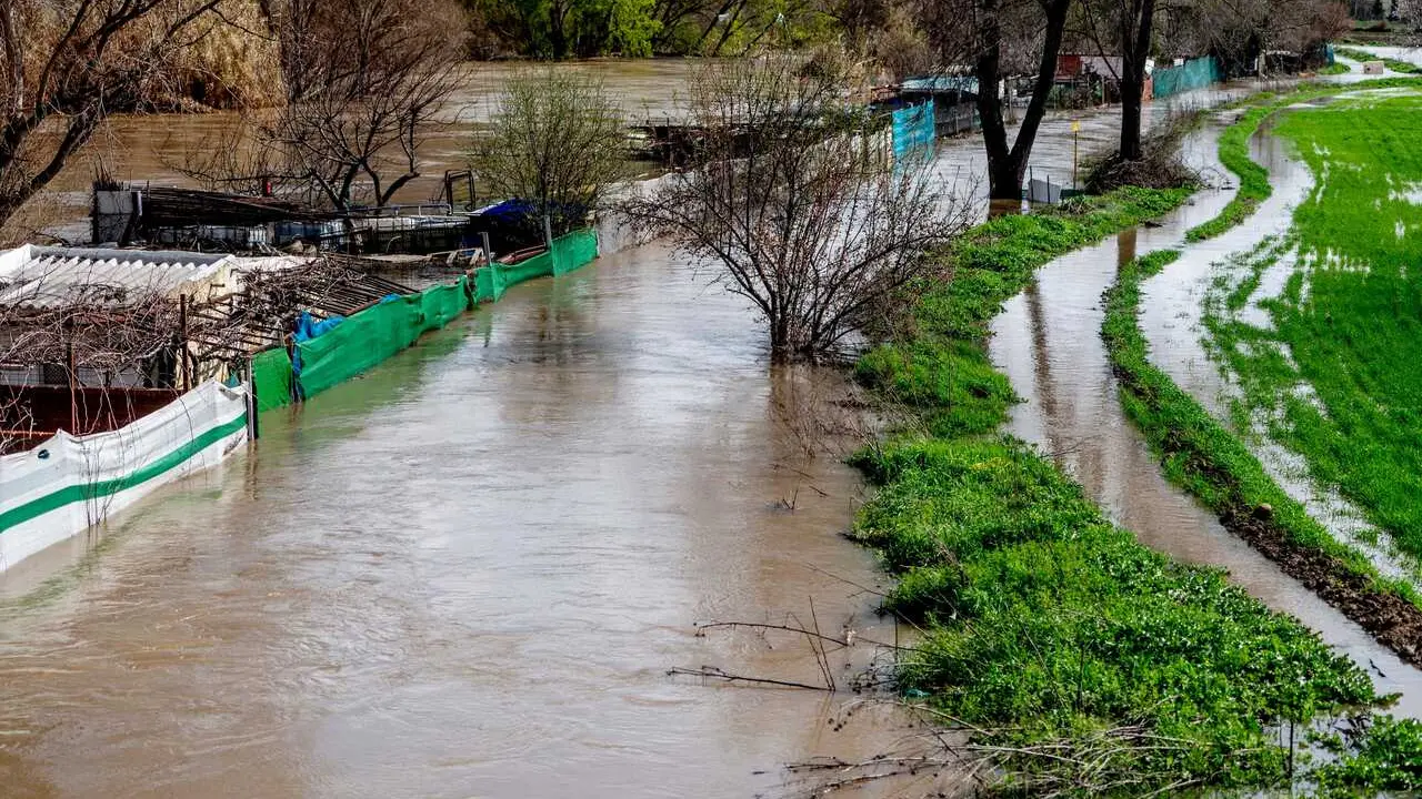 Archivo - Zona de cultivos afectada por el desbordamiento del R&iacute;o Jarama en 2025